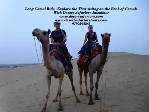 Tripvillas @ Desert Safariors Jaisalmer