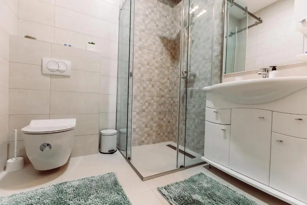 Waterfront Apartment Petrovina