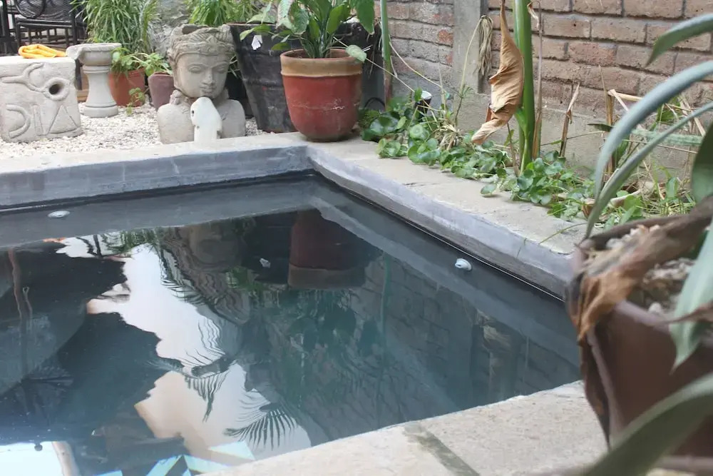 Mandalas House