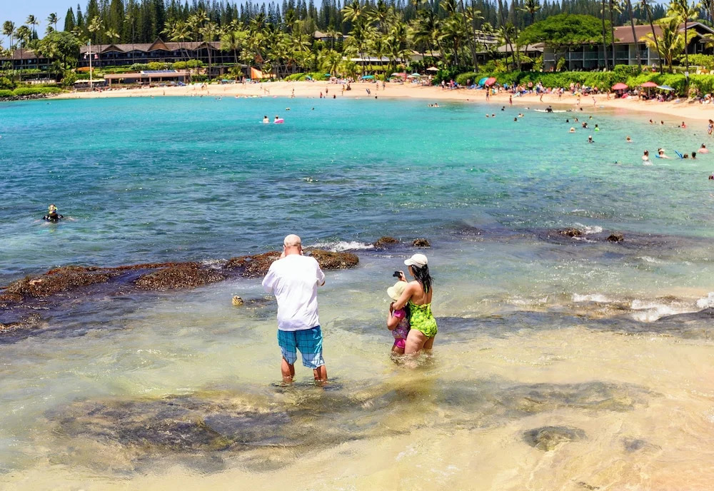 Napili Point C-12 - 2Br Condo