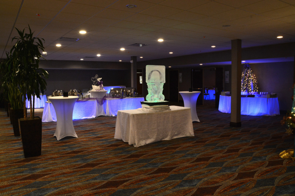 Holiday Inn Canton (Belden Village) by IHG