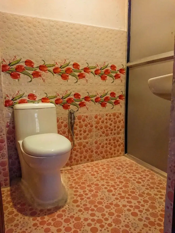 hotel Backpackers inn