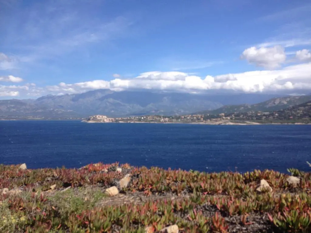 Calvi Residence