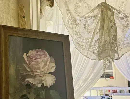 Floral Hotel · Huashi | Art Gallery VILLA Garden Boutique (Yining Six Star Street Branch)