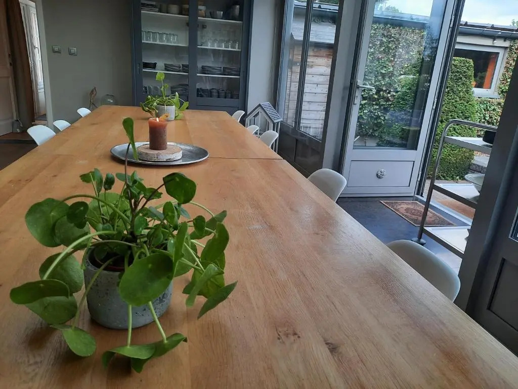 VillaEnzo - ELEGANT HERENHUIS - 14P - 6SLPK - SAUNA - INFRAR CABINE - OFYR BBQ - 15MIN Maastricht