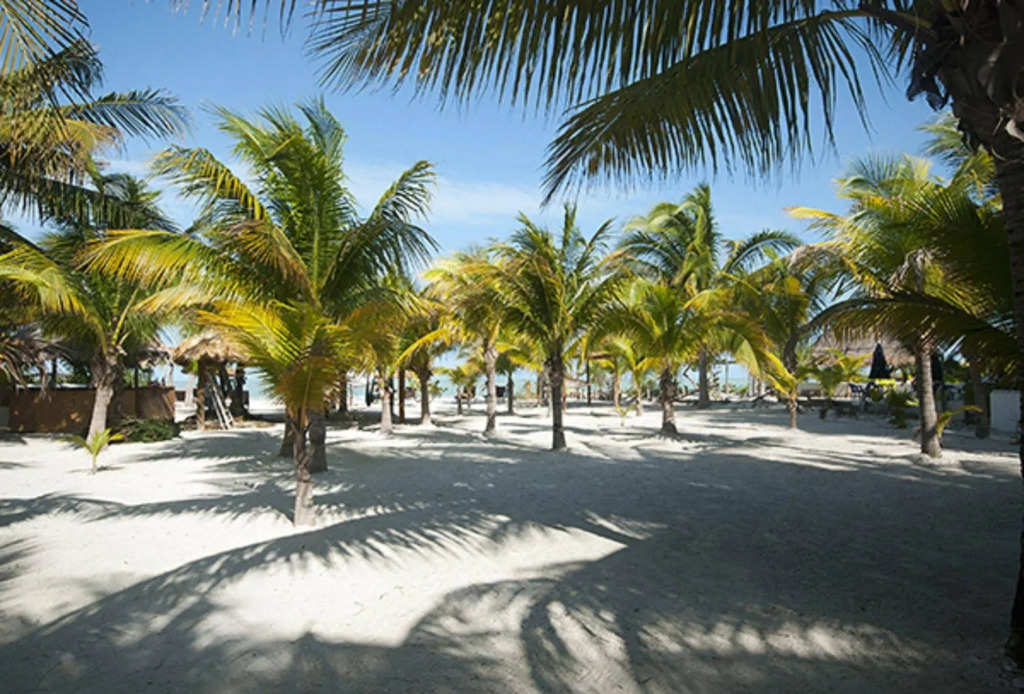 Zomay Beachfront Holbox