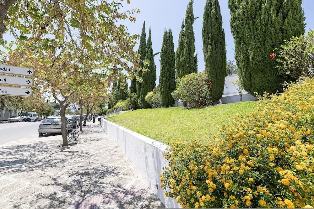 Enjoy Arcos in Arcos de la Frontera