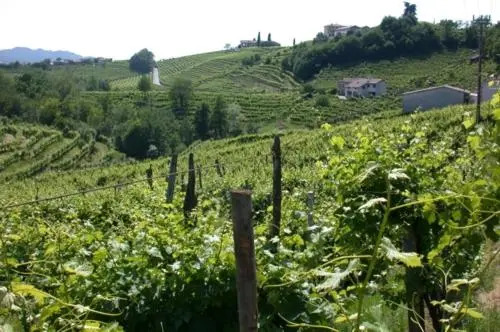 b&b alla pergola