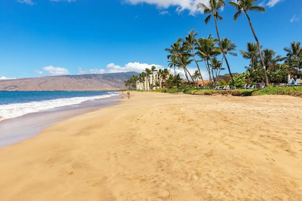 401 Nani Kai Halebeachfrontnewly Remodeled