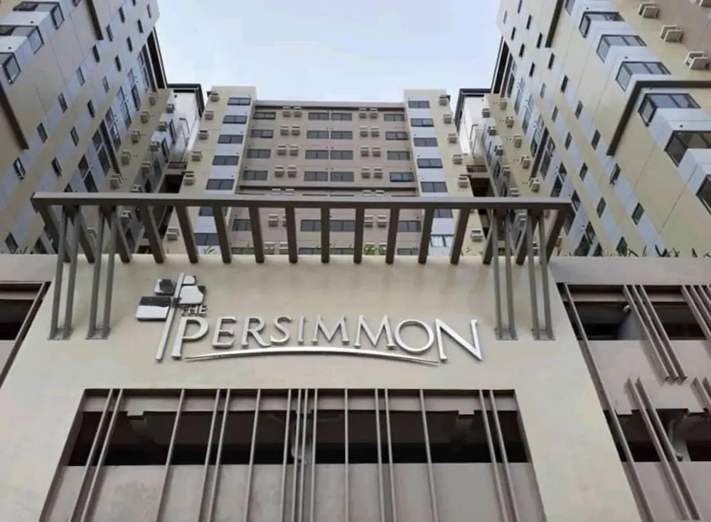 Stunning Studio Type - 1641 - 16th Flr Persimmon