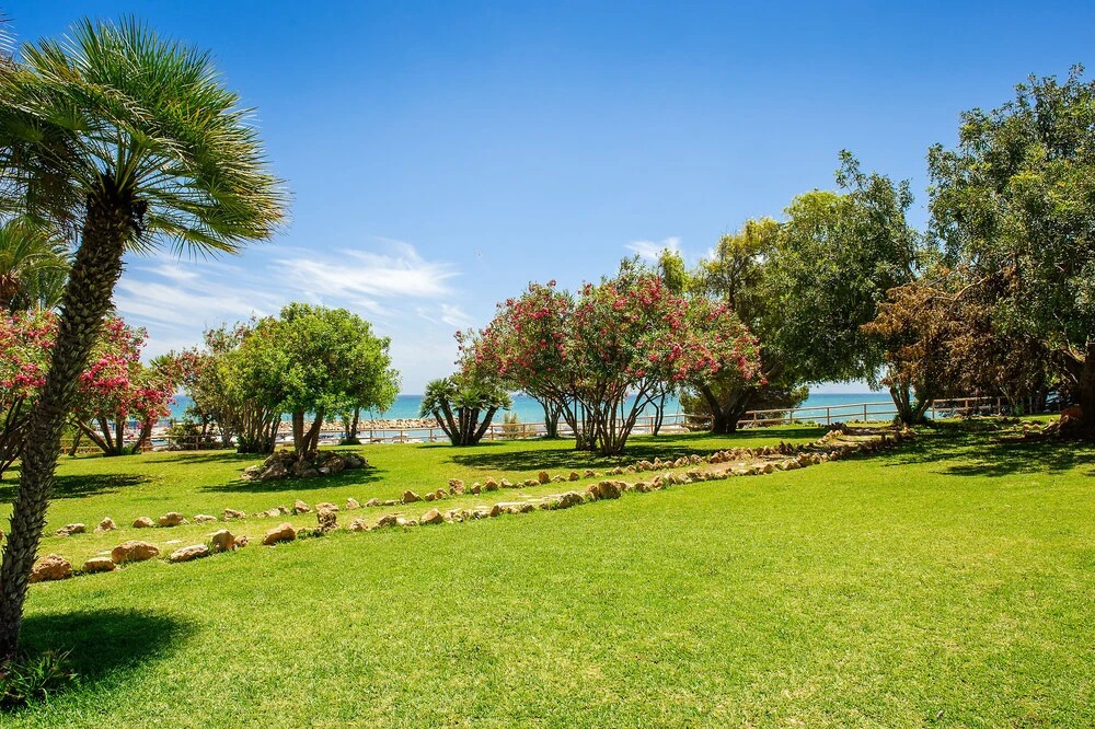 Apartamento Bennecke Dehesa