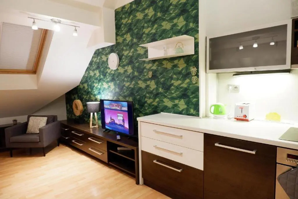 Apartman v centru mesta s vyhledem na Petra