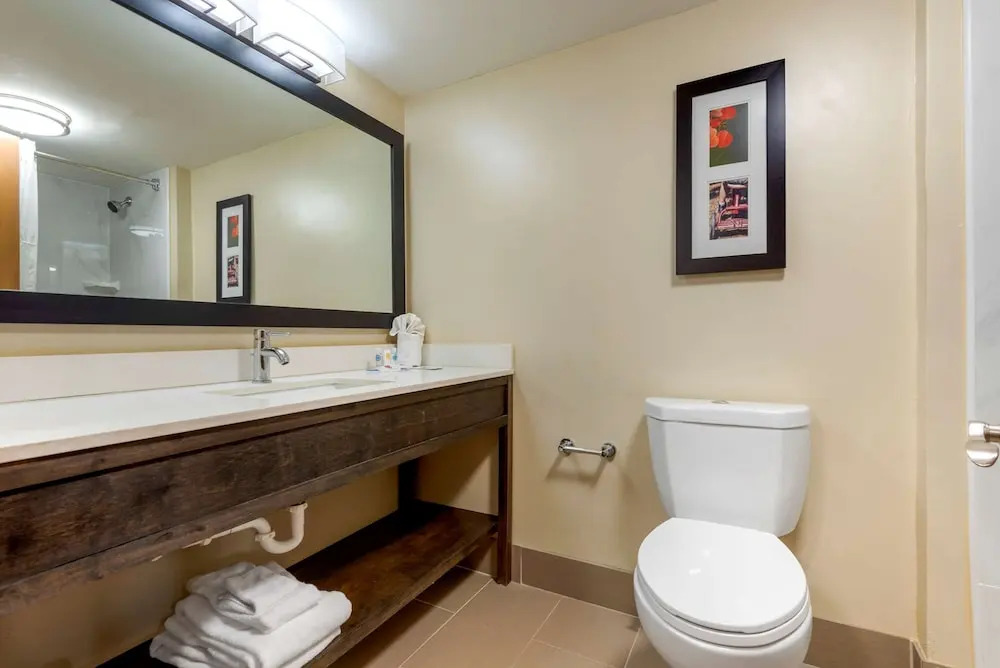 Comfort Inn Binghamton I-81