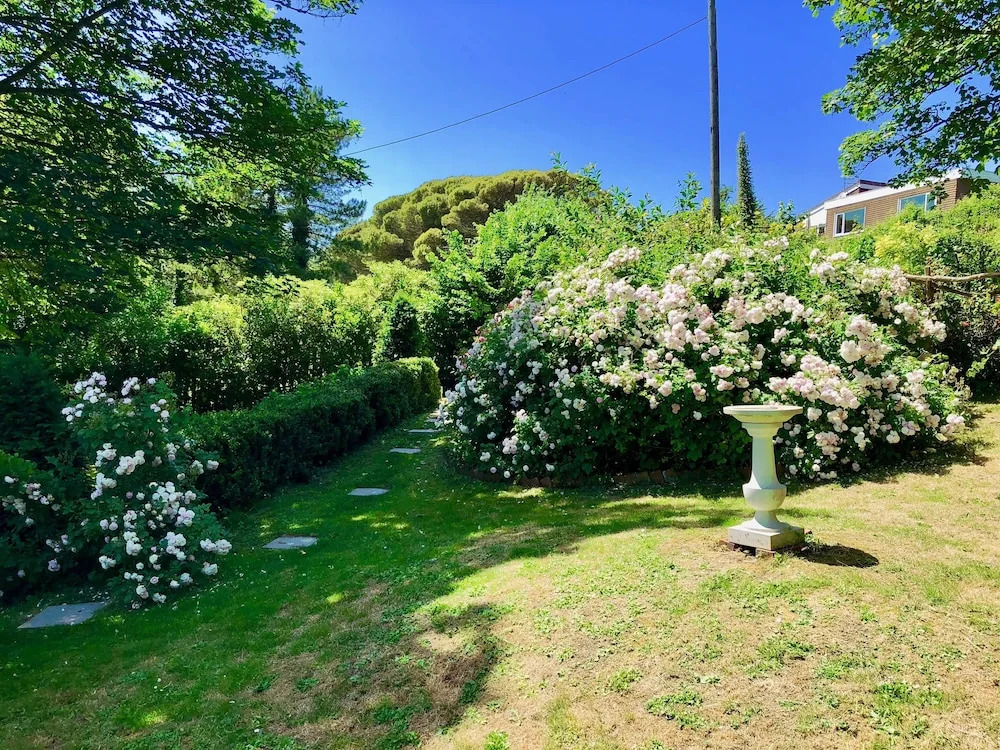 2 Old Park Cottages - St Lawrence