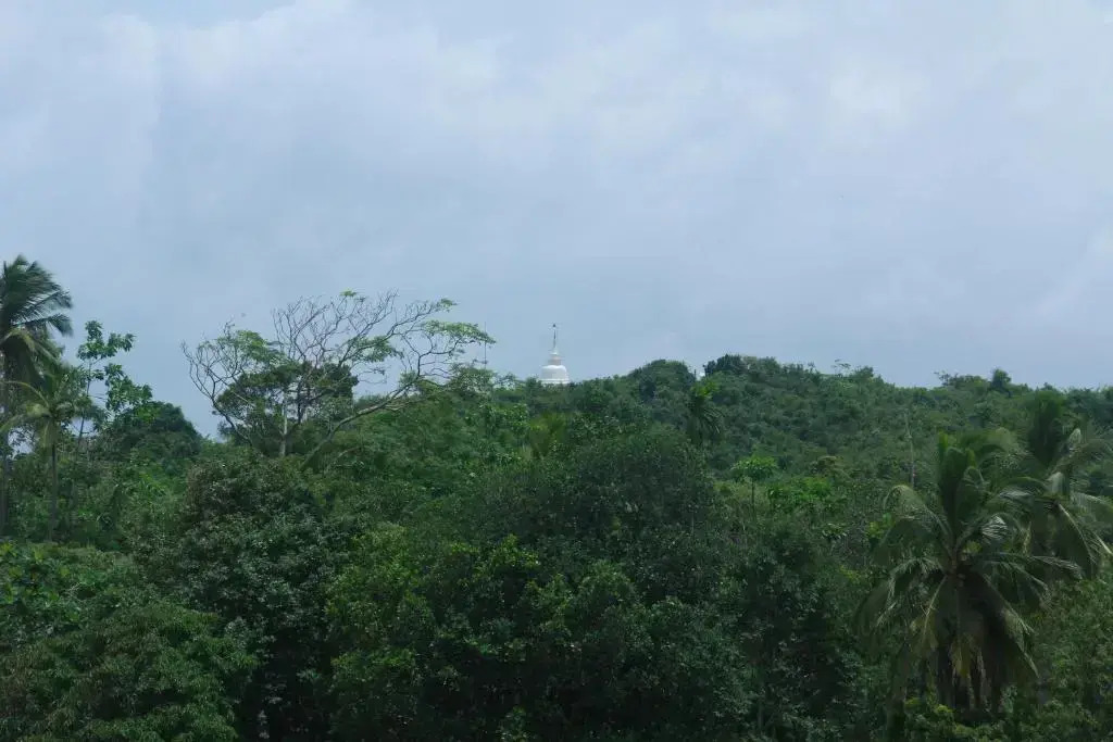 Mirissa Eco Hills