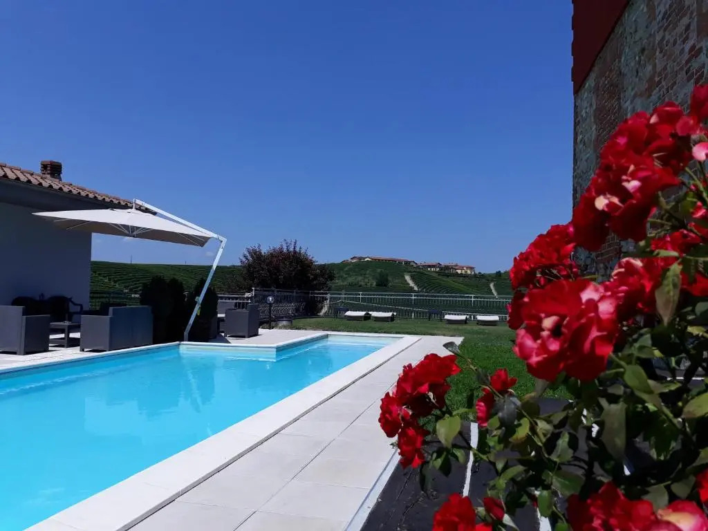Red Wine Camere