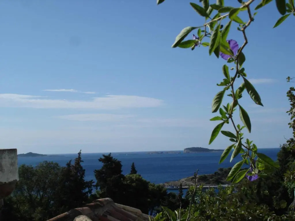 Villa Mediterranea