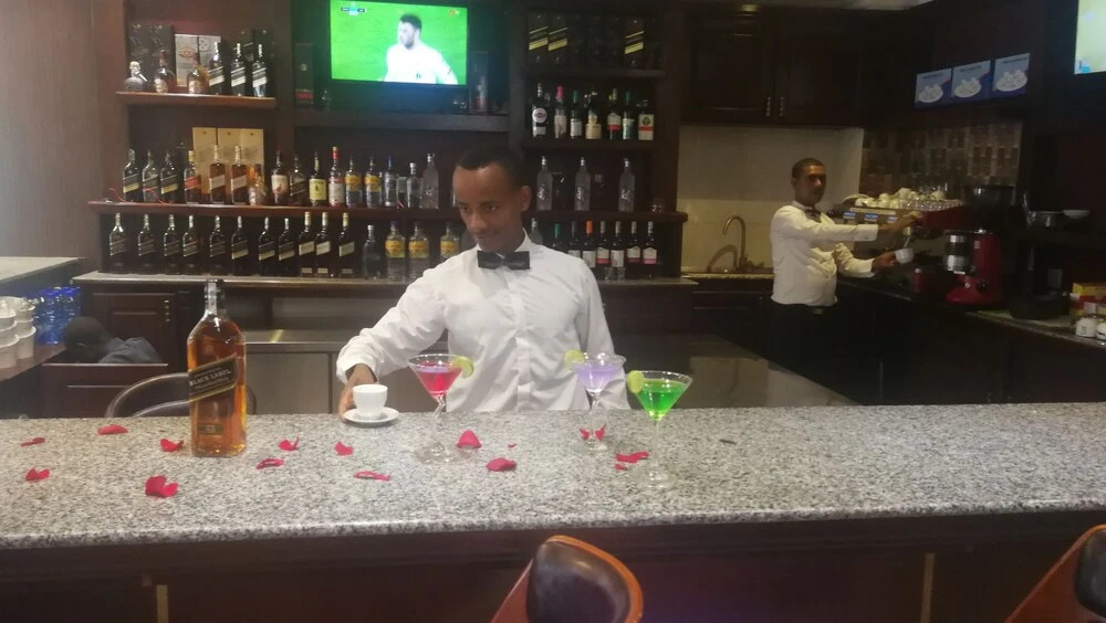 New Vision Addis Hotel