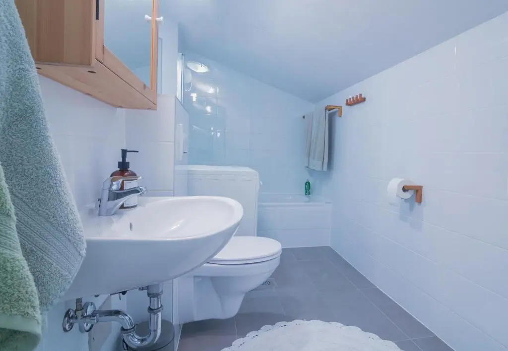 Cosy attic Apartment