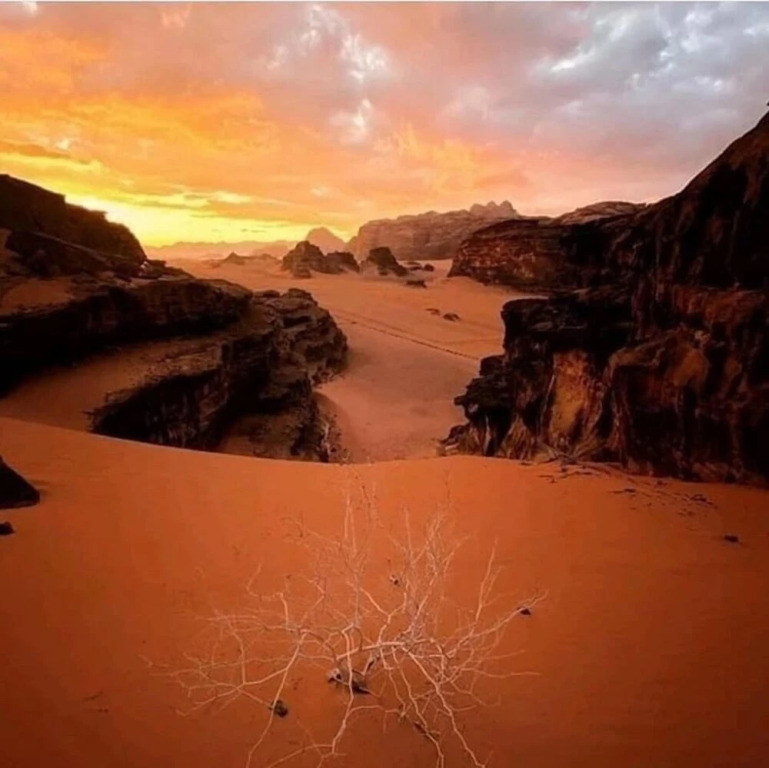 Wadi rum camp