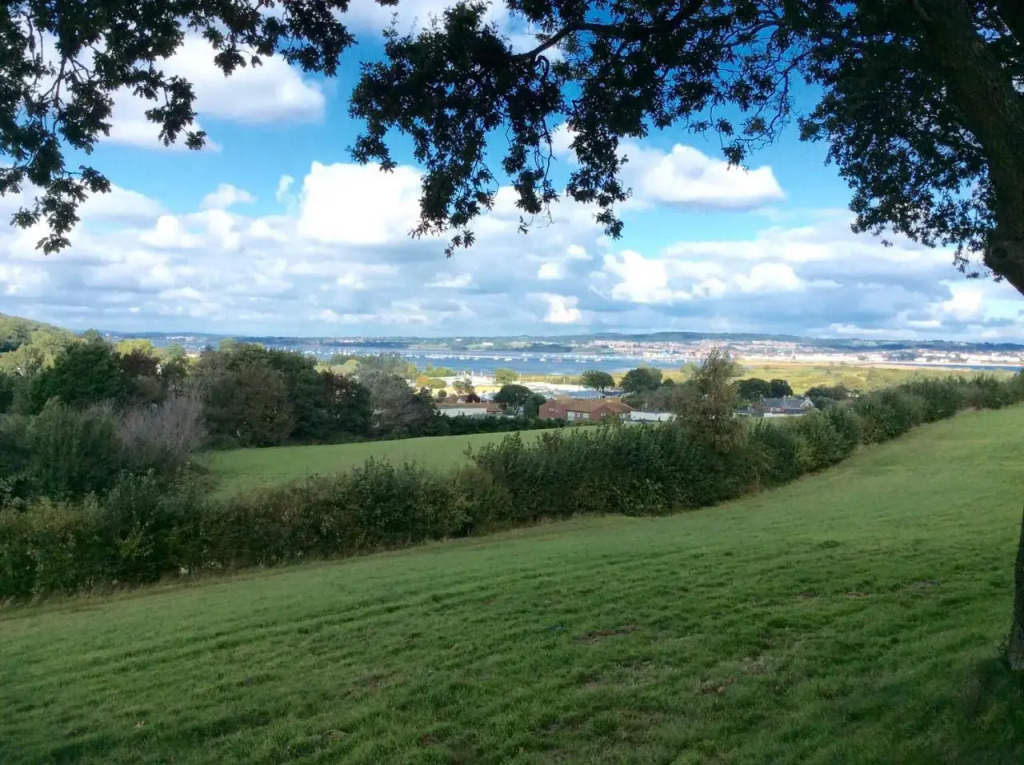 Warren View
