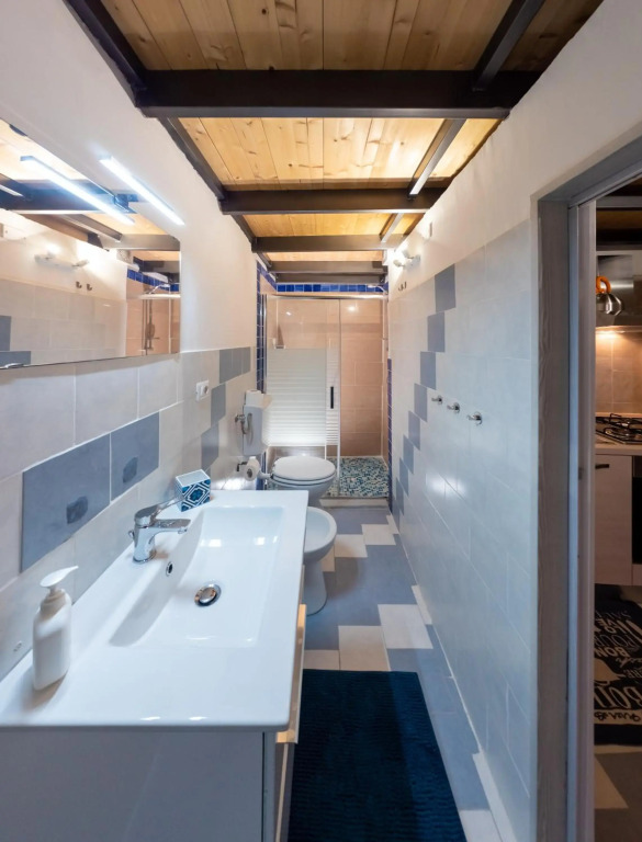 SikulaHouse - apartment in the city center