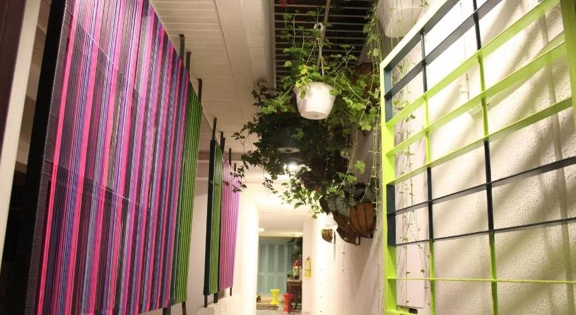 La Playa Hostel & Rooftop