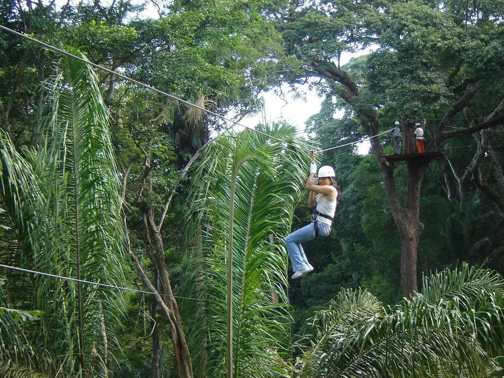 Los Cedros