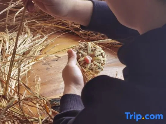 Ruralation MO⁺ Co-living Retreat, Chenjiapu,Songyang