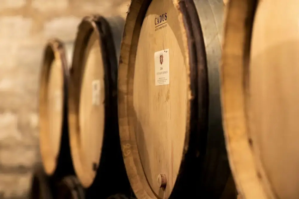 Domaine Gille