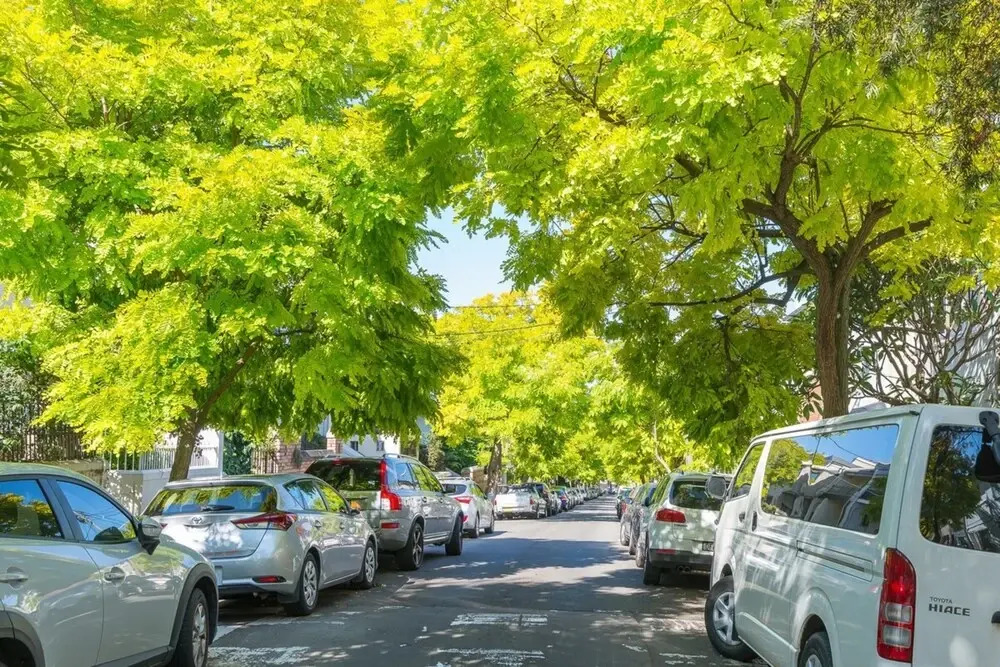 Stylish 3 Bedroom Townhouse in Darlinghurst