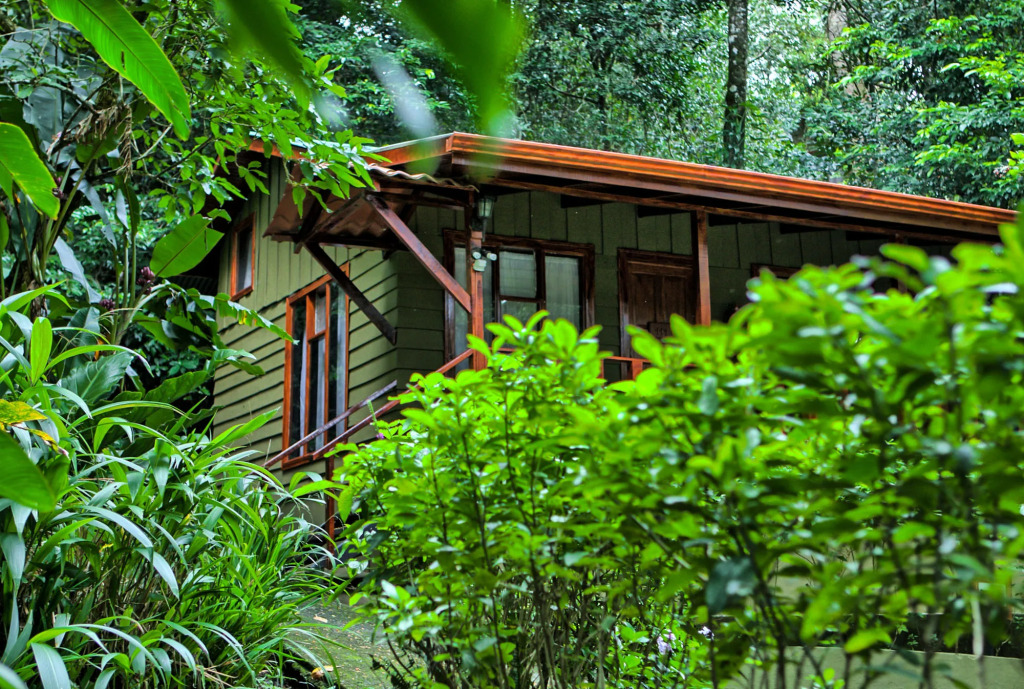 Jaguarundi Jungle Lodge - Monteverde