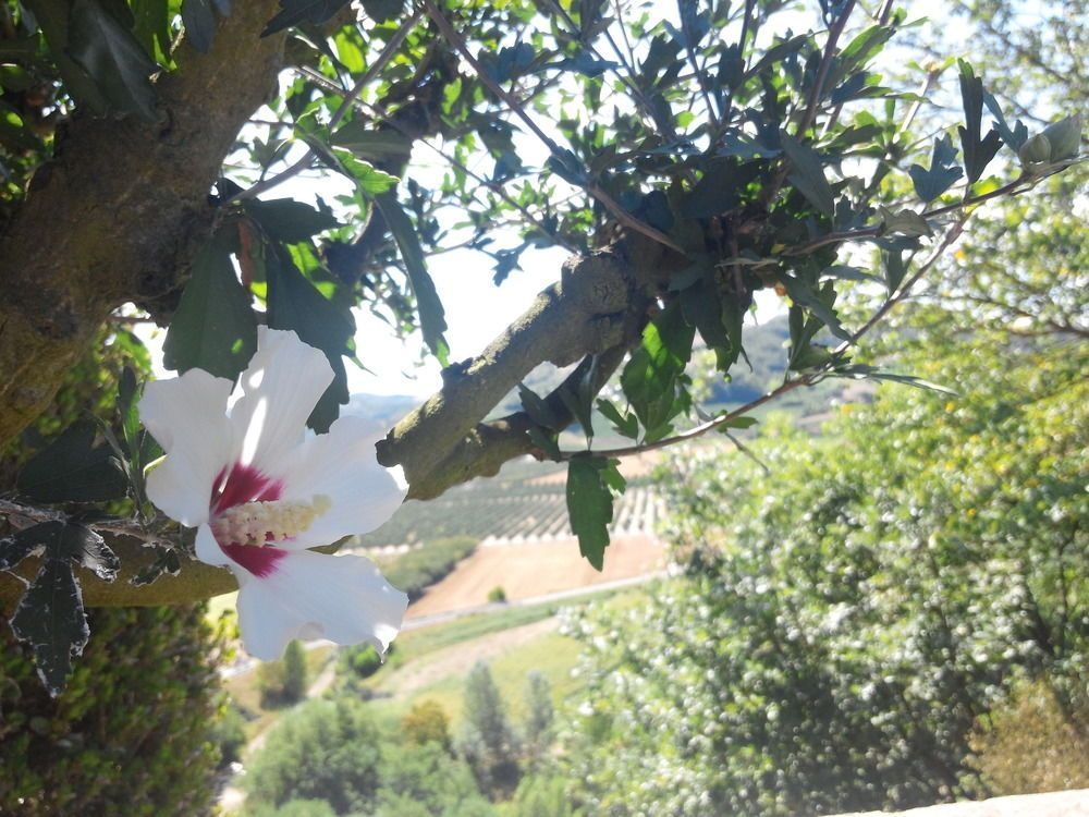 Il Castello di Bubbio