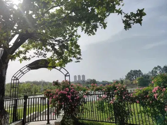 Natural Tianchen·Lotus Grand Hotel