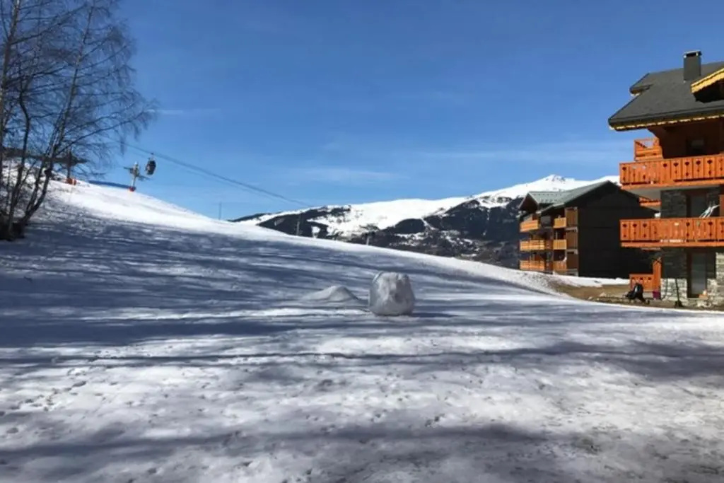 Chalet de Montalbert 22B