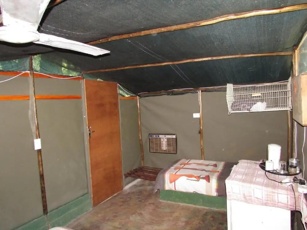 3 bed Bush-tent Under 3 Trees, for Couple Plus Chaperone Free Lionhyena Sounds