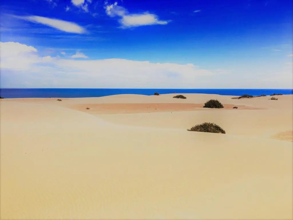 Corralejo Sun 202