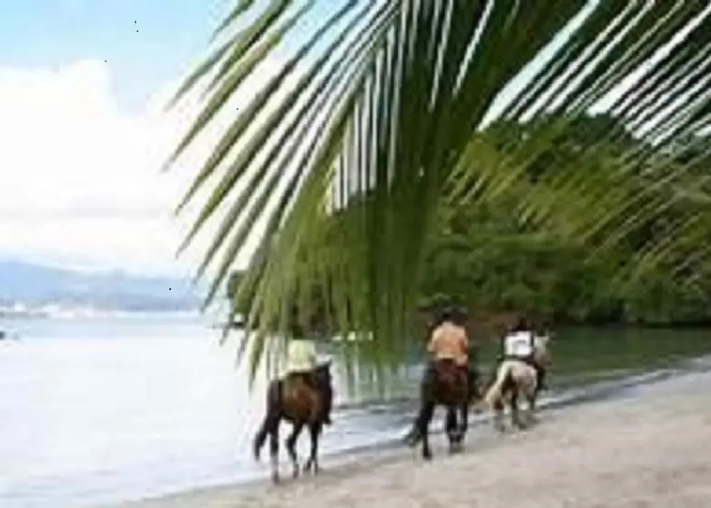 Appartement Rosbambou les pieds dans l eau