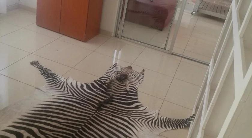 Mo-nize Villa Guesthouse