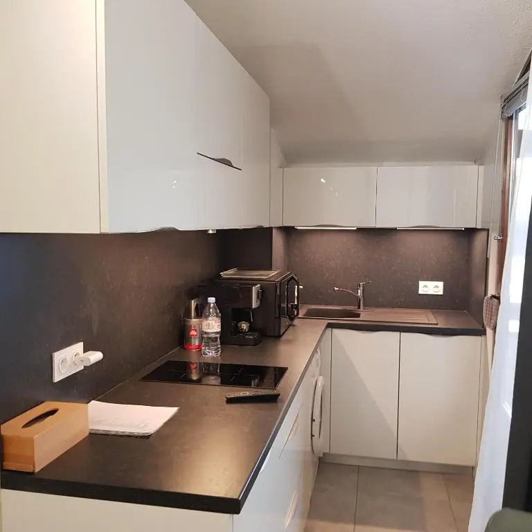 STUDIO 28 m2 TOUT CONFORT NEUF LABEL 3 ETOILES 4 PERSONNES CYBELE