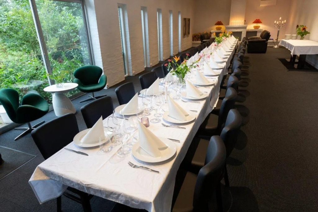 Dolphin Hotel Herning