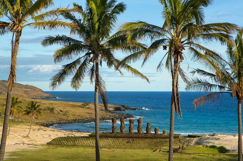 Altiplanico Rapa Nui