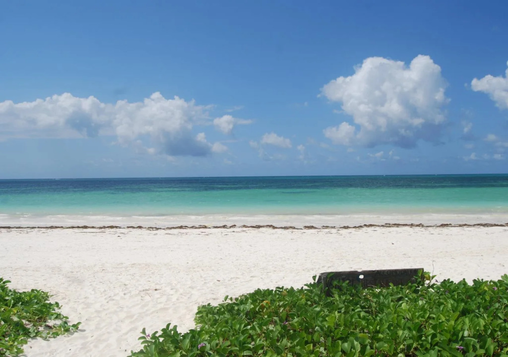Sahari Zanzibar
