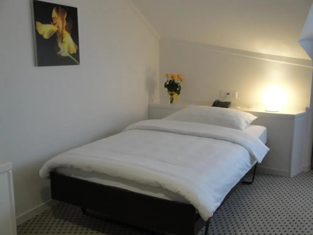 Hotel Schwanen Wil