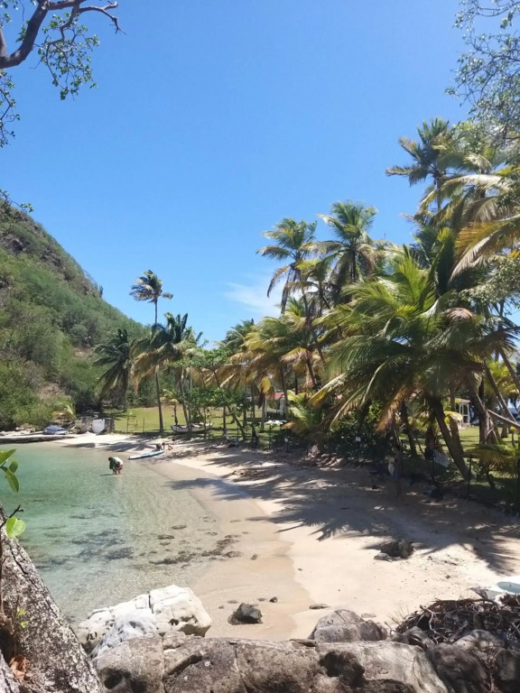 Studio Grande Anse
