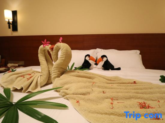 Rendi Mountain Rainforest Hotel
