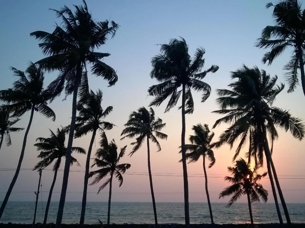 Cherai Beach Palace