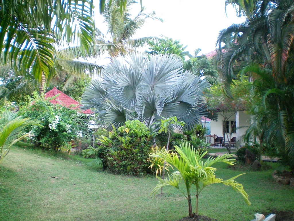 Patong Palace Hotel - SHA Extra Plus
