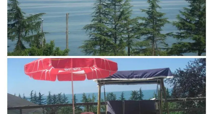 Guest House on Tamar Mephe 14