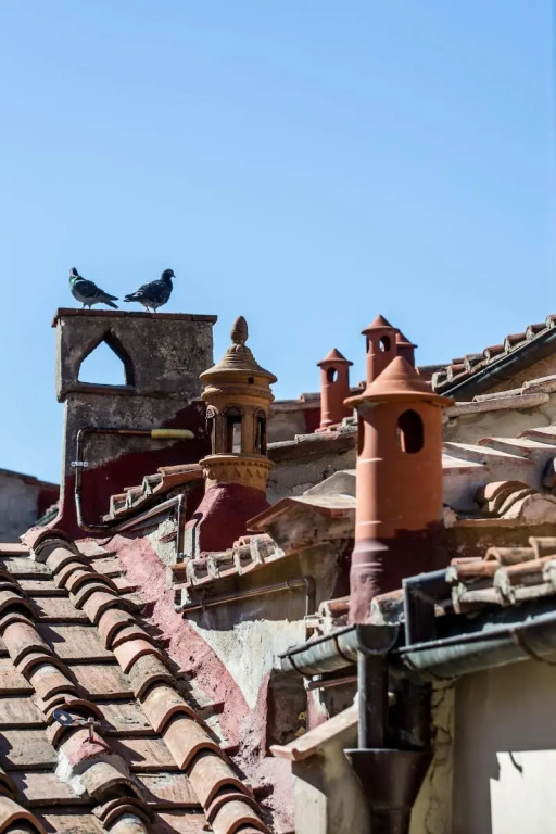 Oltrarno Splendid